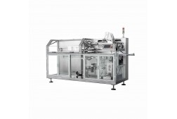Delicious Companionship: The Innovative Pouch Packaging Machine - Guardian of Frozen Dumplings